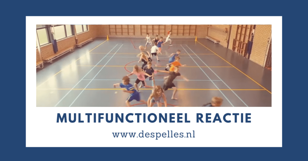 Multifunctioneel Reactiespel in de gymles