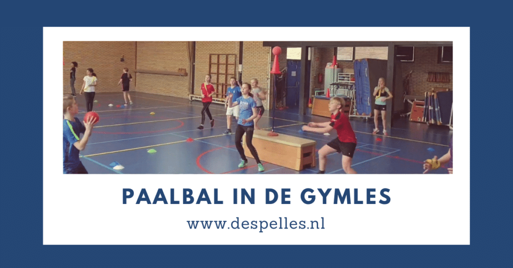 Paalbal in de gymles