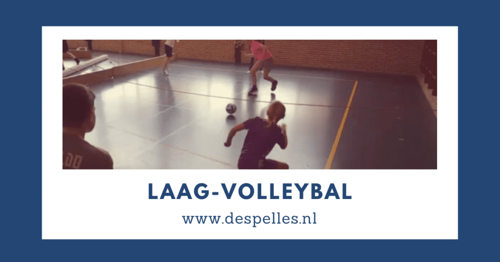 Laag-Volleybal in de gymles