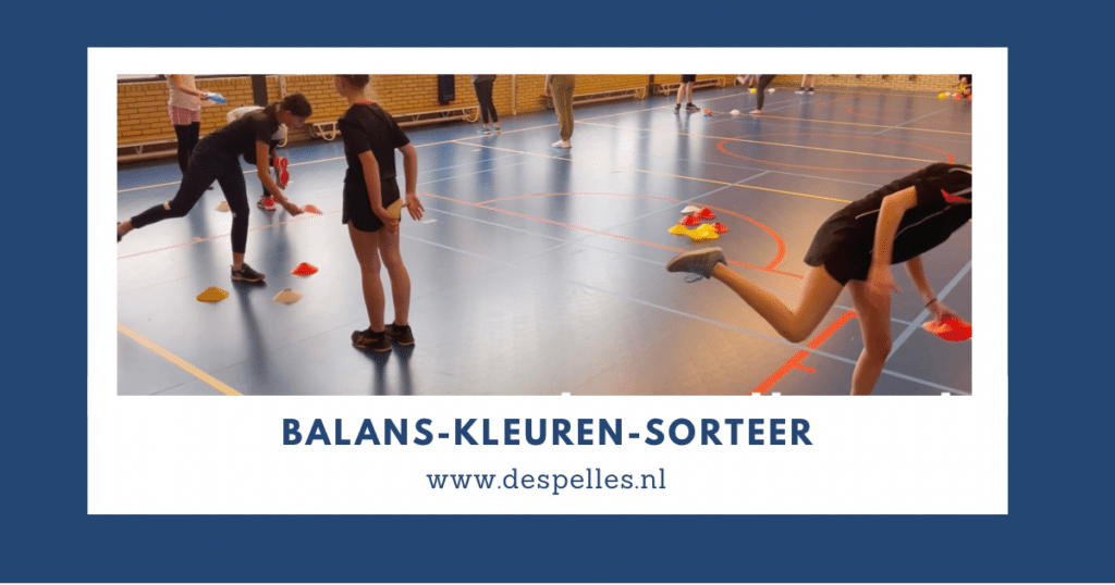 Balans-Kleuren-Sorteer in de gymles