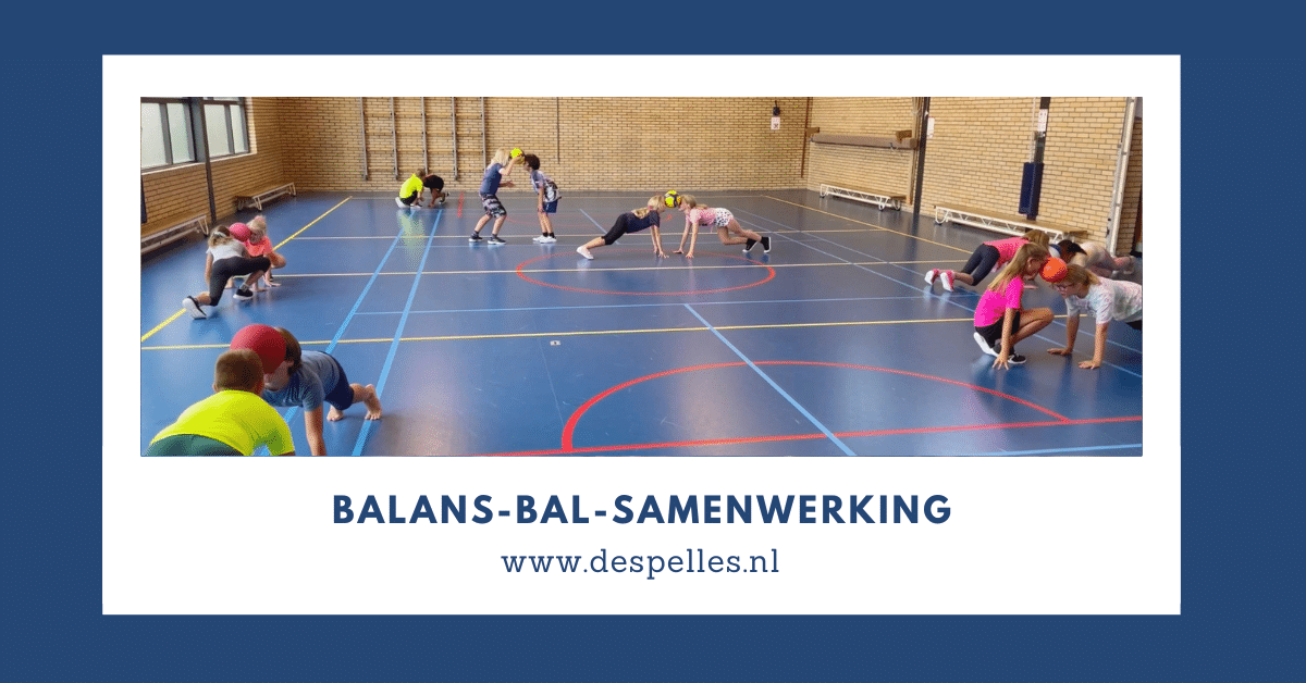 Balans-Bal-Samenwerking in de gymles