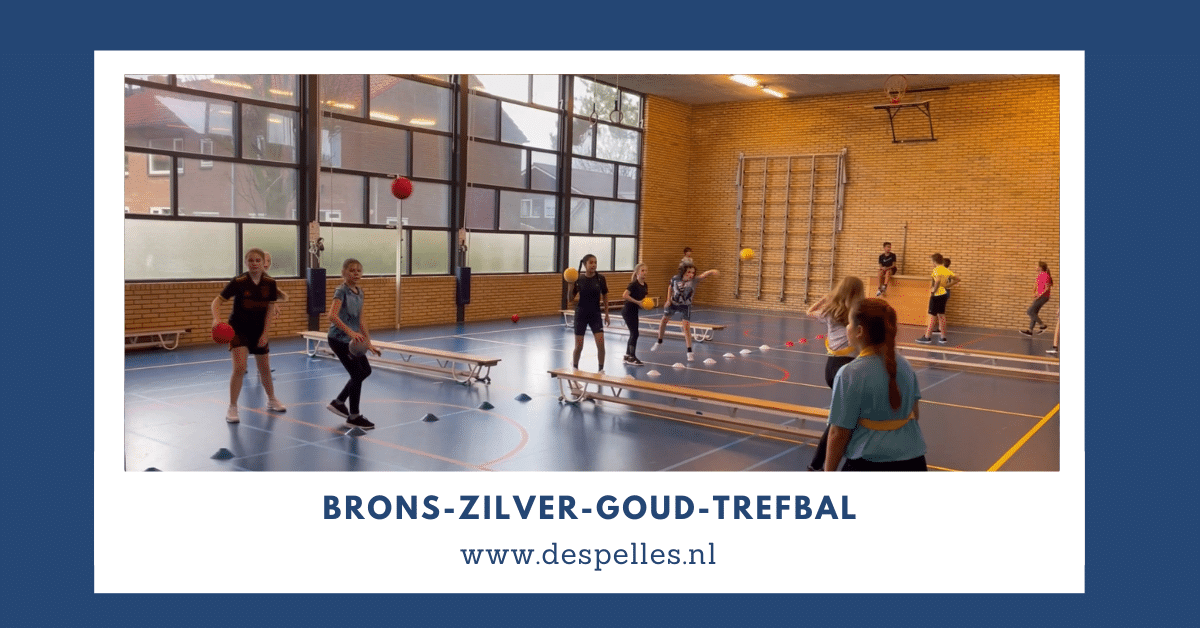 Brons-Zilver-Goud-Trefbal in de gymles