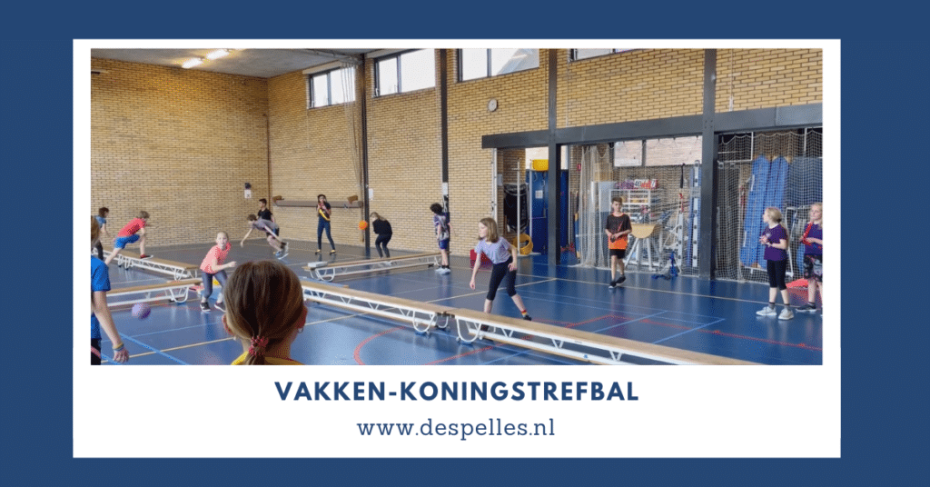 Vakken-Koningstrefbal in de gymles