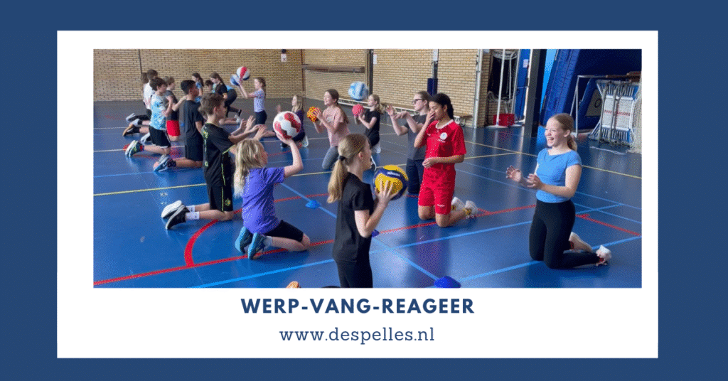 Werp-Vang-Reageer in de gymles